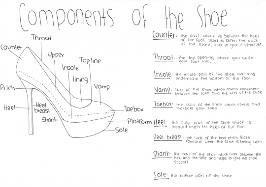 Components of the shoe diagram