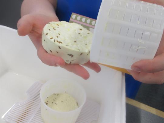 Feta cheese being removed from mold