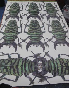 Maia's longhorn beetle print