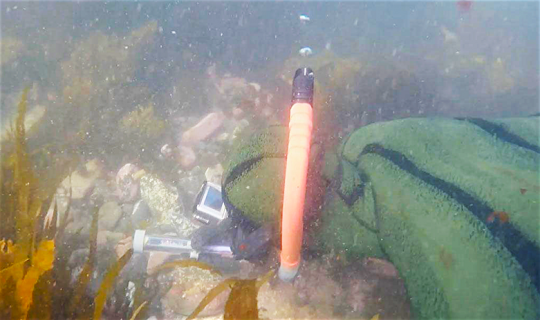 Paua tool in situ with diver