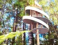 A tree house in a forest