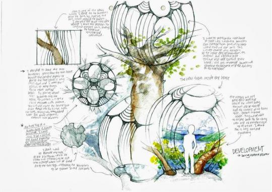 Treehouse design development sketches