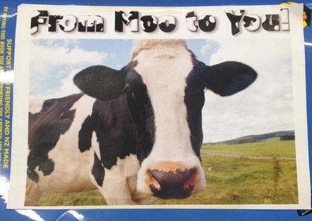 Big book for From Moo to You