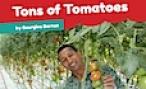 The grower and his tomatoes