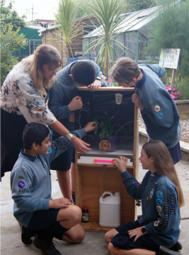 Four children and a teacher with their self-watering plant system.