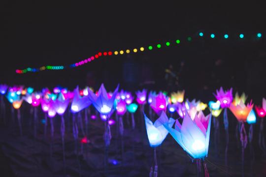 A garden of paper flowers glowing with coloured LED lights