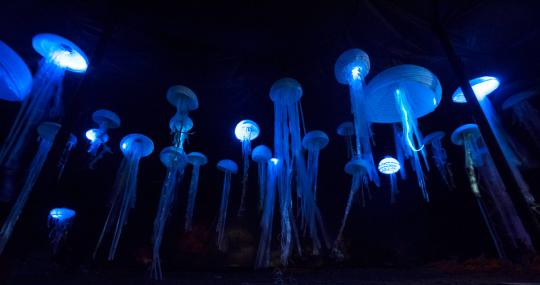 Recycled plastic jellyfish lit with LED lighting