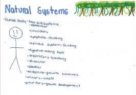 Natural systems list, human body