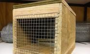 A wooden predator trap built by students