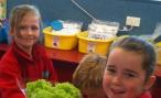 Tech systems for year 3–4 students: Hydroponics