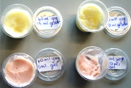 Food technology samples during product testing