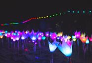 Electronic flowers.